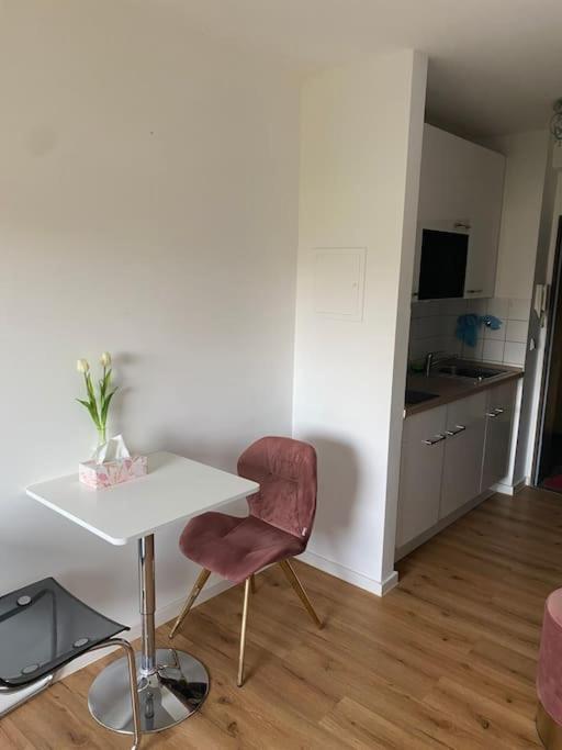 Schoene, Kleine, Gemuetliche Wohnung - Stadtmitte Mainz Eksteriør bilde